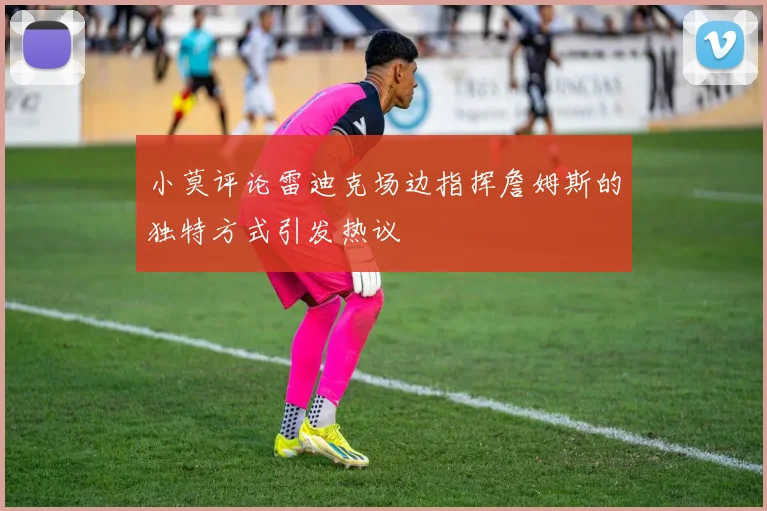 小莫评论雷迪克场边指挥詹姆斯的独特方式引发热议