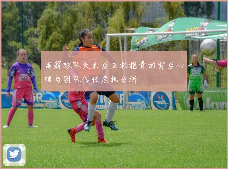 高薪球队失利后互相指责的背后心理与团队信任危机分析