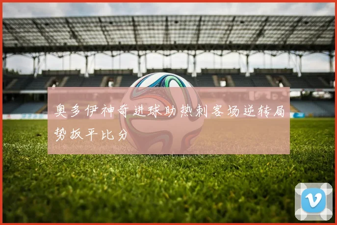 奥多伊神奇进球助热刺客场逆转局势扳平比分