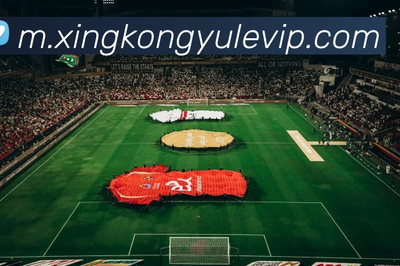 星空娱乐品牌故事